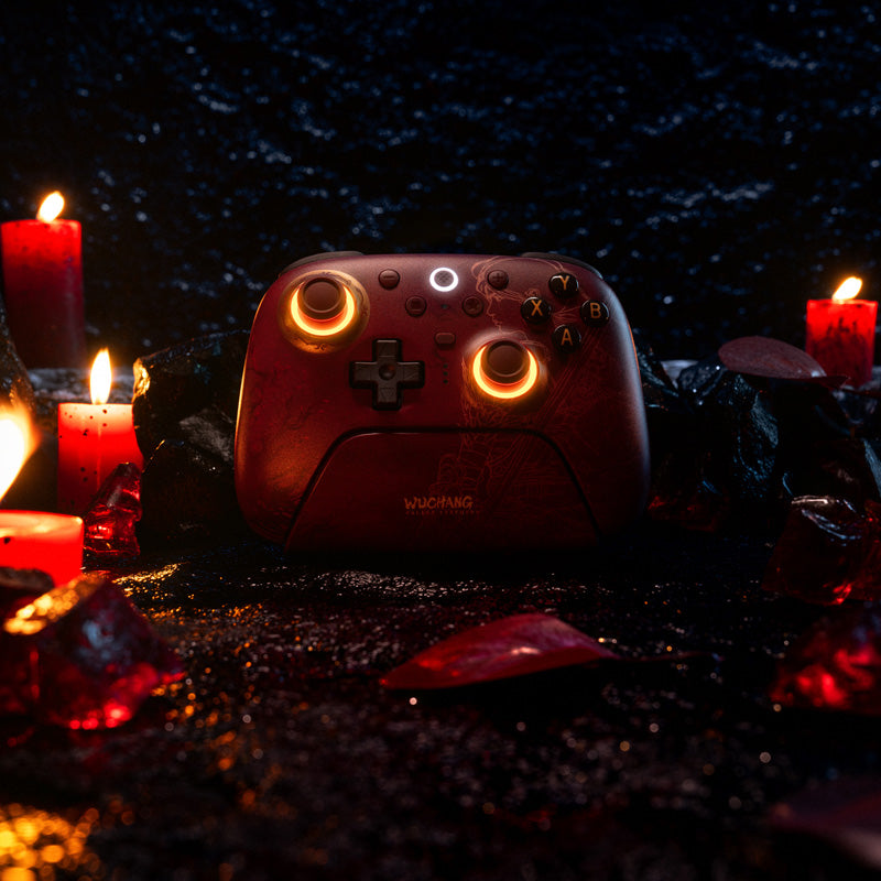 8BitDo Ultimate 2 Wireless Controller - WUCHANG: Fallen Feathers - Controller Design for Streamlined Gaming Sessions