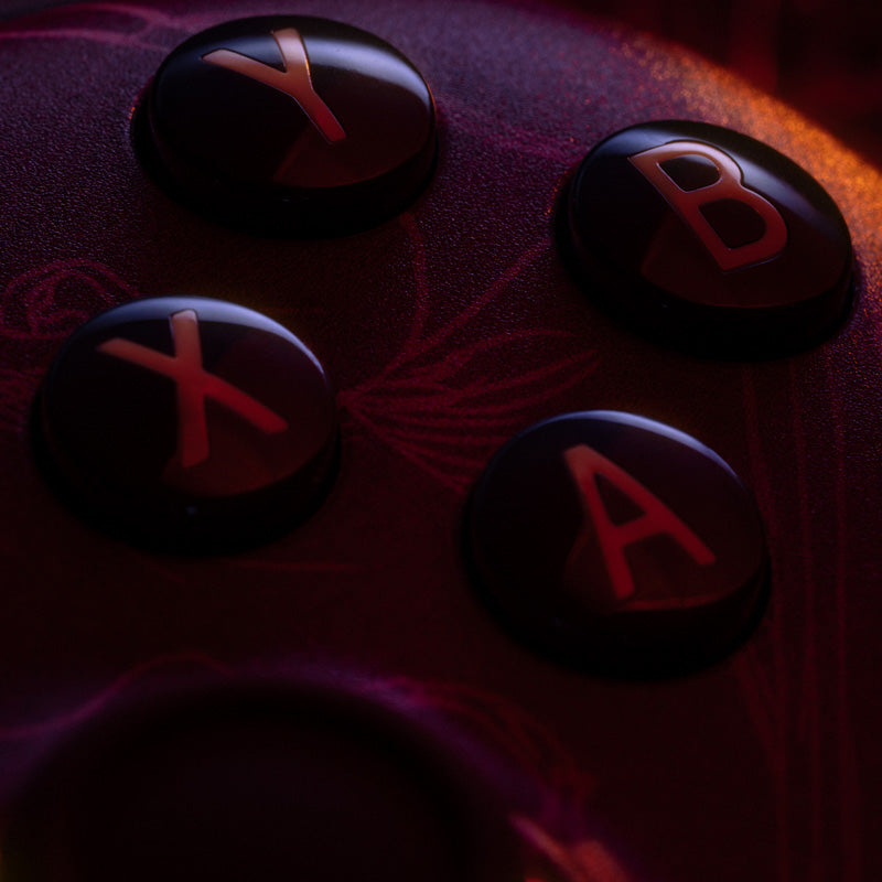 8BitDo Ultimate 2 Wireless Controller - WUCHANG: Fallen Feathers - Controller Design for Streamlined Gaming Sessions